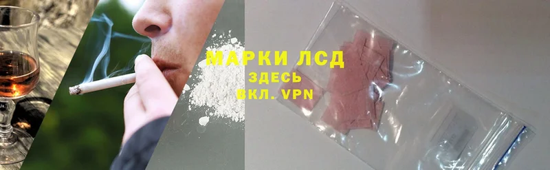 Где купить наркоту Большой Камень Cocaine  СК  Бошки Шишки  ТГК  ГАШИШ 